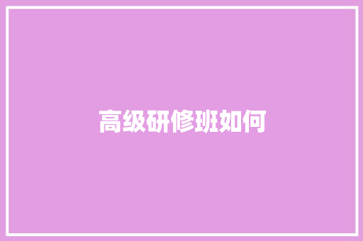 高级研修班如何