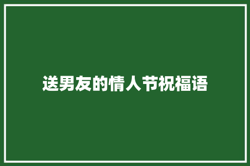 送男友的情人节祝福语 简历模板