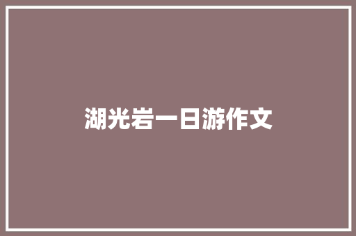 湖光岩一日游作文 报告写作