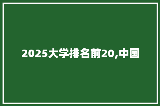 2025大学排名前20,中国