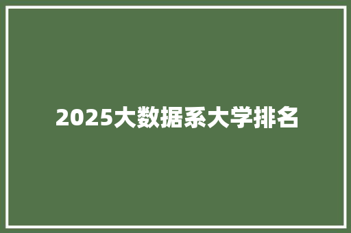 2025大数据系大学排名