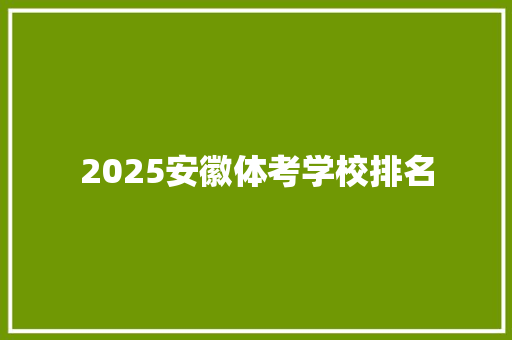 2025安徽体考学校排名
