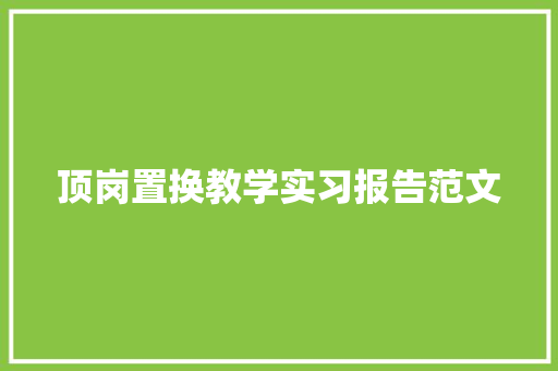 顶岗置换教学实习报告范文 词汇积累