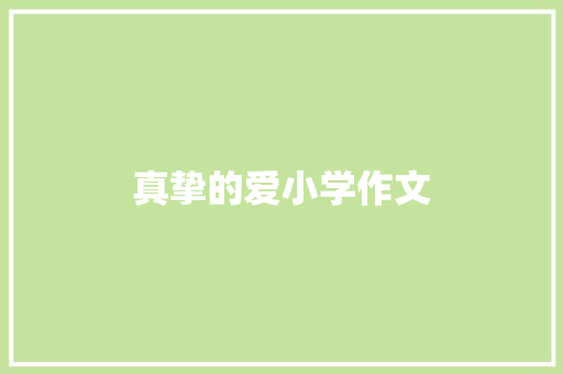 真挚的爱小学作文