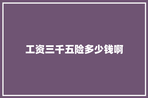 工资三千五险多少钱啊