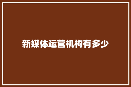 新媒体运营机构有多少