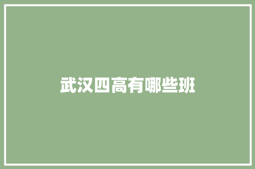 武汉四高有哪些班