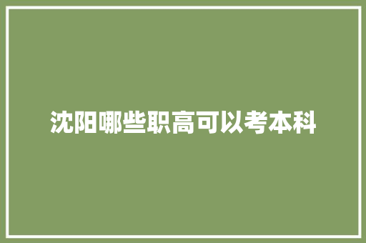 沈阳哪些职高可以考本科