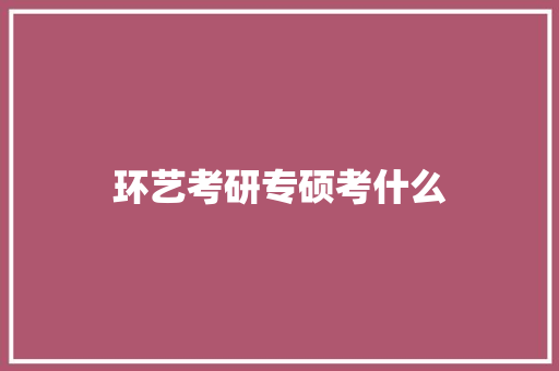 环艺考研专硕考什么