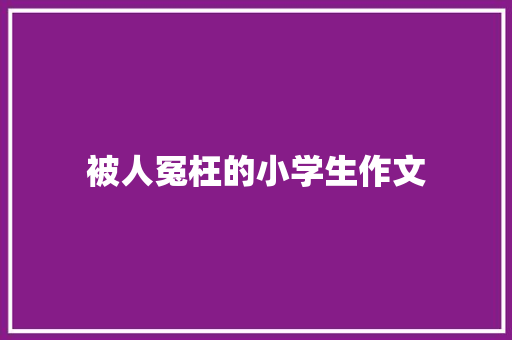 被人冤枉的小学生作文