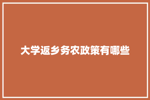 大学返乡务农政策有哪些