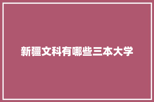 新疆文科有哪些三本大学
