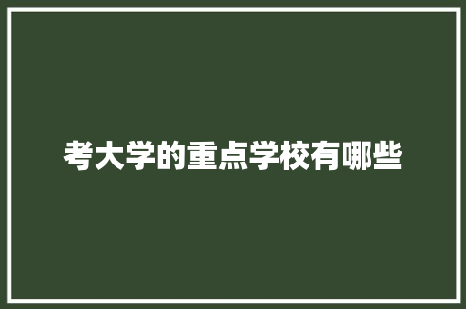 考大学的重点学校有哪些