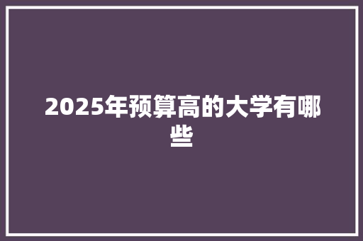 2025年预算高的大学有哪些