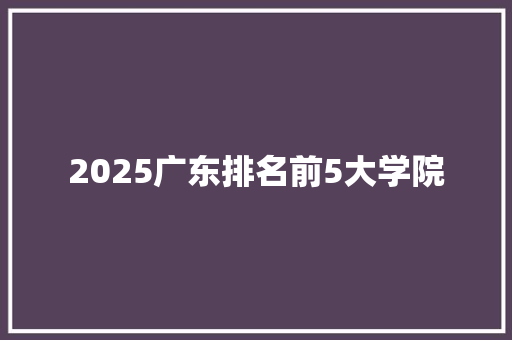 2025广东排名前5大学院