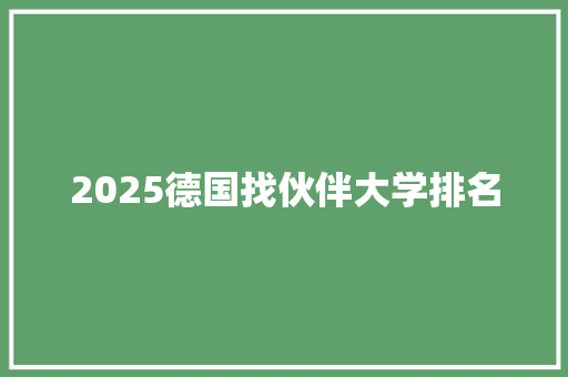 2025德国找伙伴大学排名