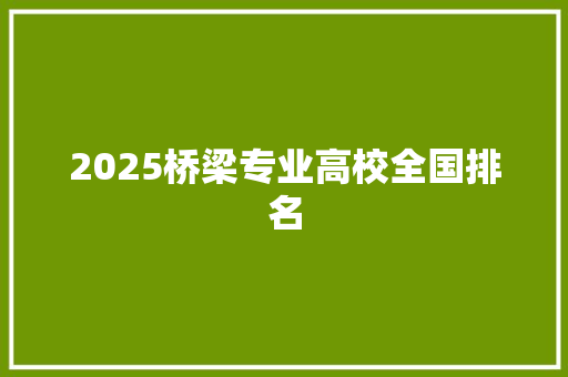2025桥梁专业高校全国排名 简历模板