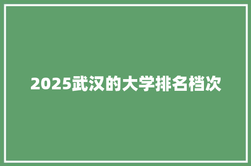 2025武汉的大学排名档次