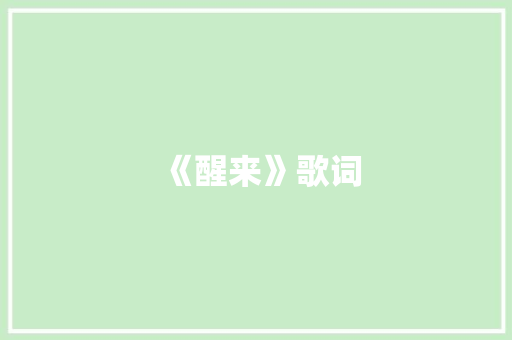 《醒来》歌词