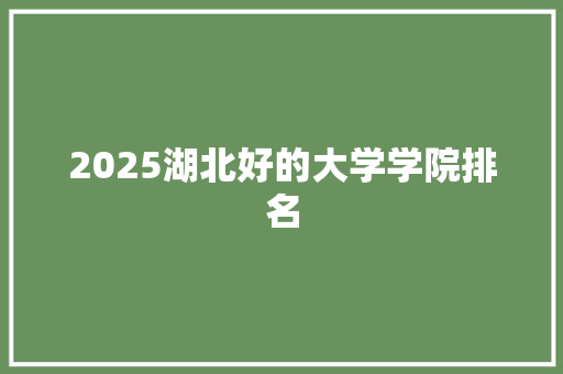 2025湖北好的大学学院排名