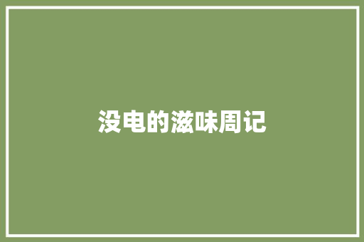 没电的滋味周记