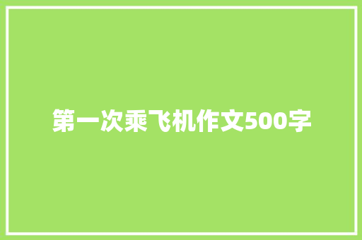 第一次乘飞机作文500字 报告写作