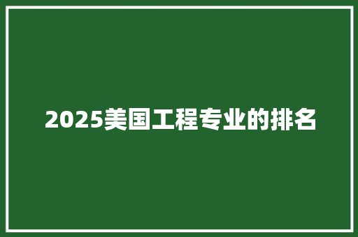 2025美国工程专业的排名