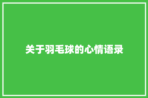 关于羽毛球的心情语录