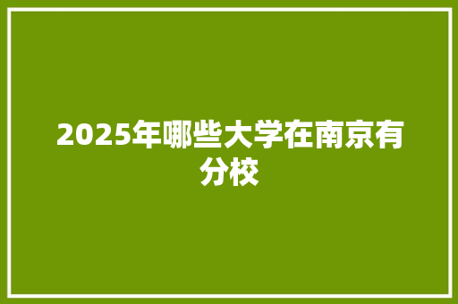2025年哪些大学在南京有分校
