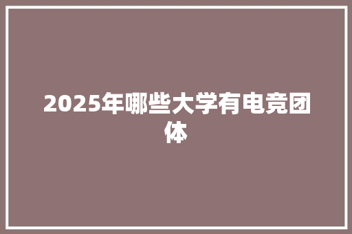 2025年哪些大学有电竞团体