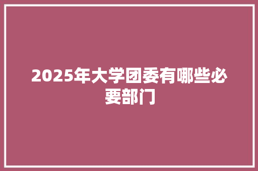 2025年大学团委有哪些必要部门