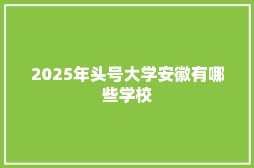 2025年头号大学安徽有哪些学校