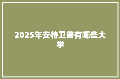 2025年安特卫普有哪些大学 报告写作