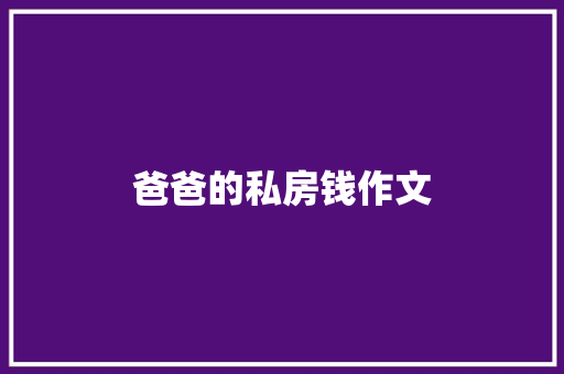 爸爸的私房钱作文