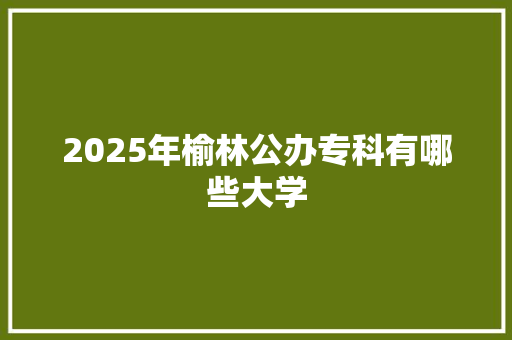 2025年榆林公办专科有哪些大学