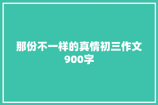 那份不一样的真情初三作文900字 词汇积累