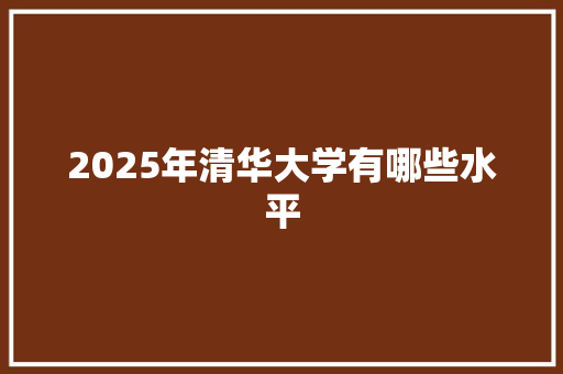 2025年清华大学有哪些水平