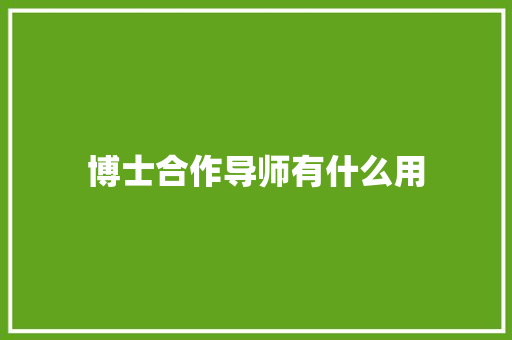 博士合作导师有什么用