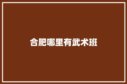 合肥哪里有武术班 写作素材