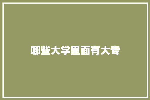 哪些大学里面有大专 写作素材