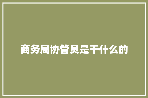 商务局协管员是干什么的