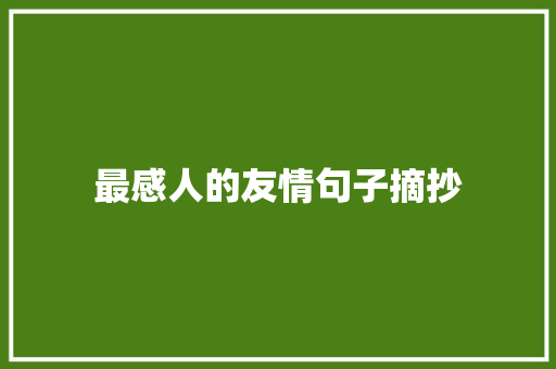 最感人的友情句子摘抄