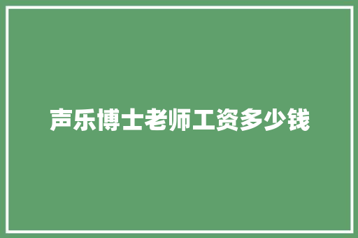 声乐博士老师工资多少钱