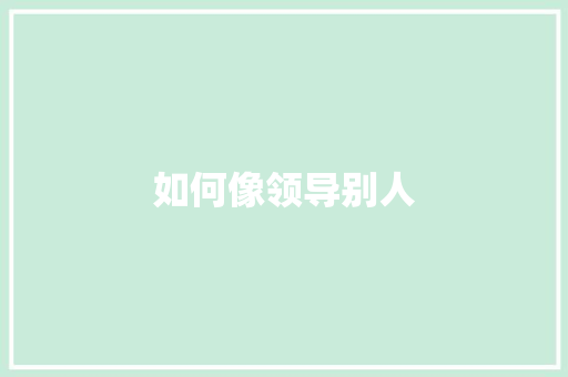 如何像领导别人