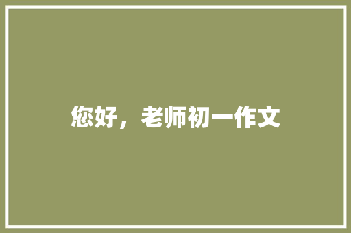 您好，老师初一作文
