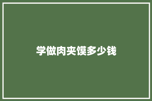 学做肉夹馍多少钱