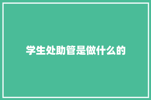 学生处助管是做什么的