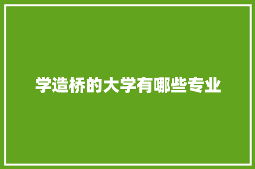 学造桥的大学有哪些专业