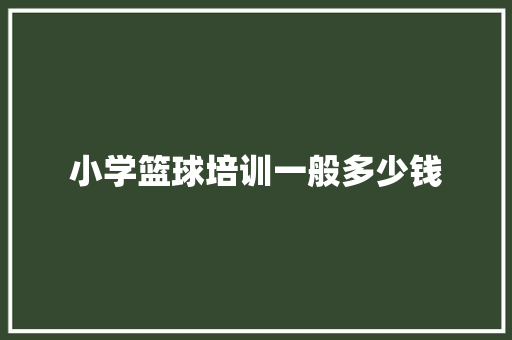 小学篮球培训一般多少钱 报告写作