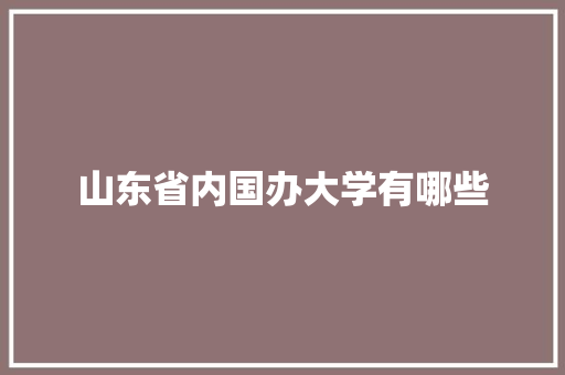 山东省内国办大学有哪些